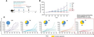Enhancing therapeutic effects of murine <mark class="highlighted">cancer vaccine</mark> by reshaping gut microbiota with Lactobacillus rhamnosus GG and jujube powder